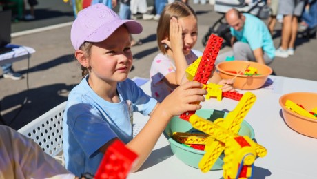 Гостеприимный фестиваль Альпака Фест 2024