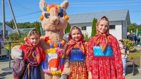 Гостеприимный фестиваль Альпака Фест 2024