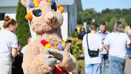 Гостеприимный фестиваль Альпака Фест 2024