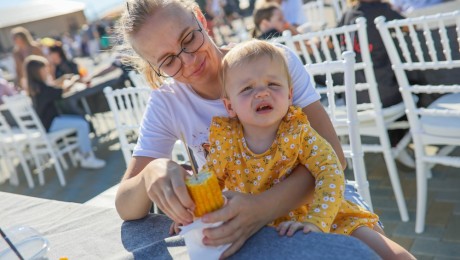 Гостеприимный фестиваль Альпака Фест 2024