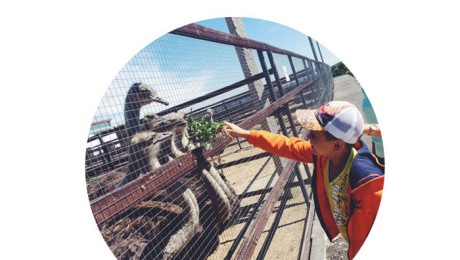 Парковая зона будет работать в зимний период