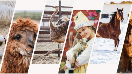 ОТКРЫВАЕМ СЕЗОН ВЕСЕЛО И ЯРКО!