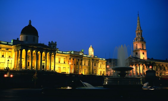 Попугаи Розелла красные (пара)