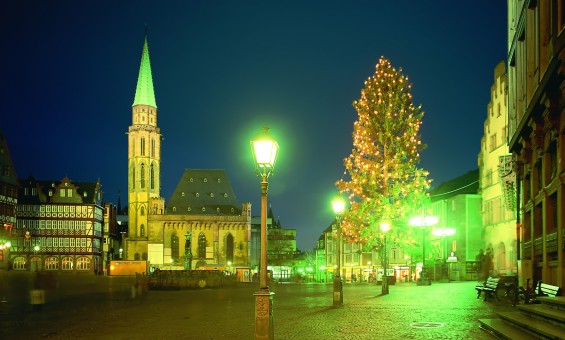 Попугаи Розелла красные (пара)