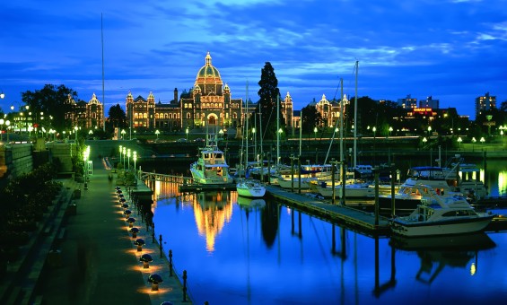 Попугаи Розелла красные (пара)