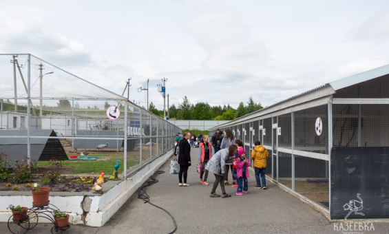 Семейный праздник 2.06.2018г. Часть 1