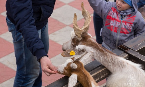 Семейный праздник 2.06.2018г. Часть 2