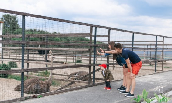Прогулка по парковой территории