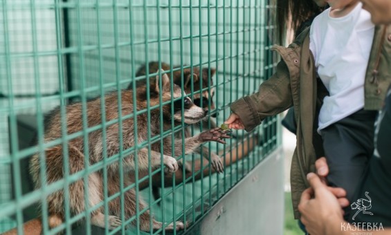 Прогулка по парковой территории