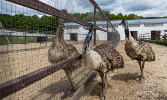 Групповая экскурсия