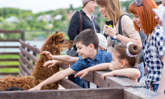 День рождения