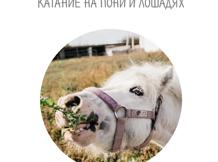 Когда к нам можно приехать в гости?