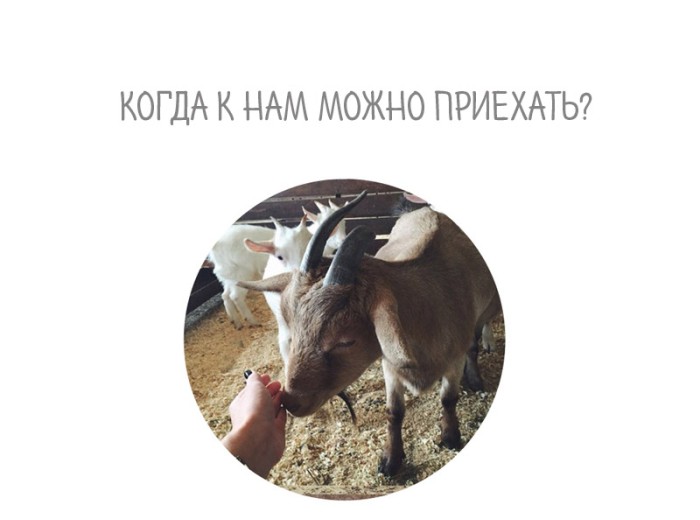 Когда к нам можно приехать в гости?