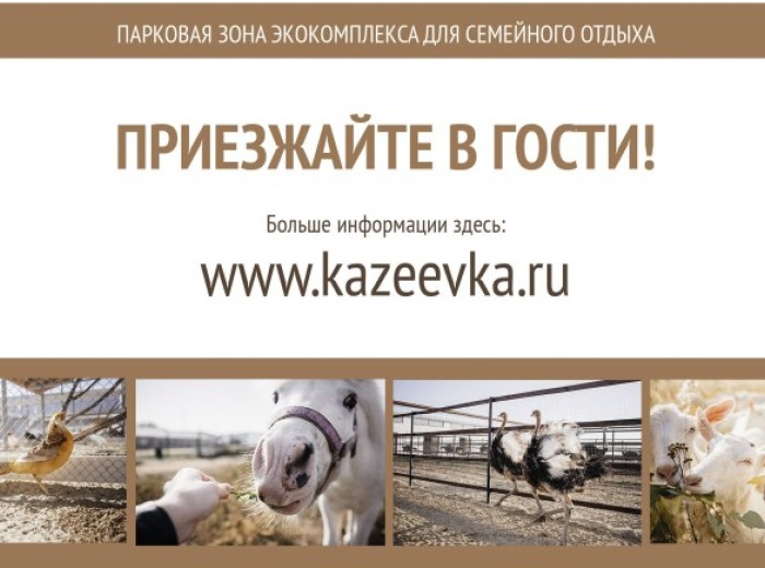 Приезжайте в гости!