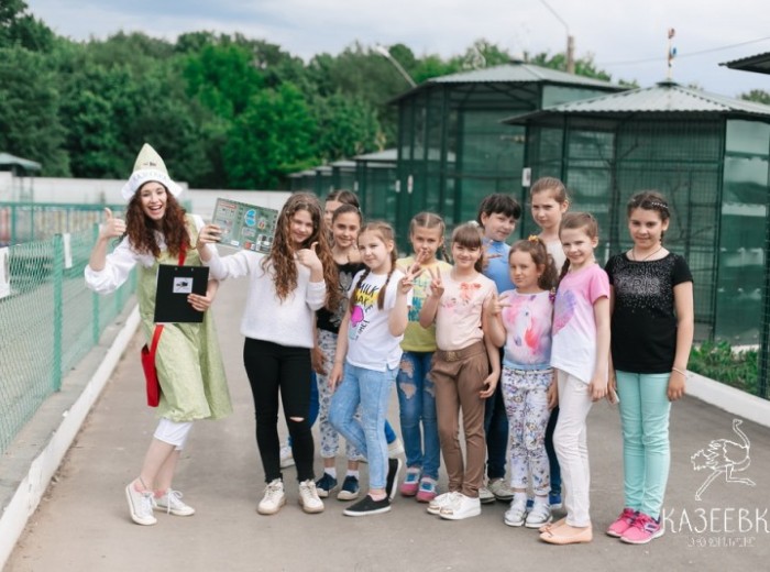 Познавательный квест для детей 5-10 лет