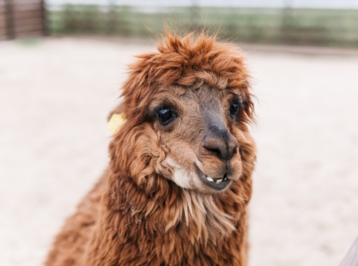 ОЧЕНЬ ВАЖНАЯ ИНФОРМАЦИЯ. Давайте поддержим друг друга