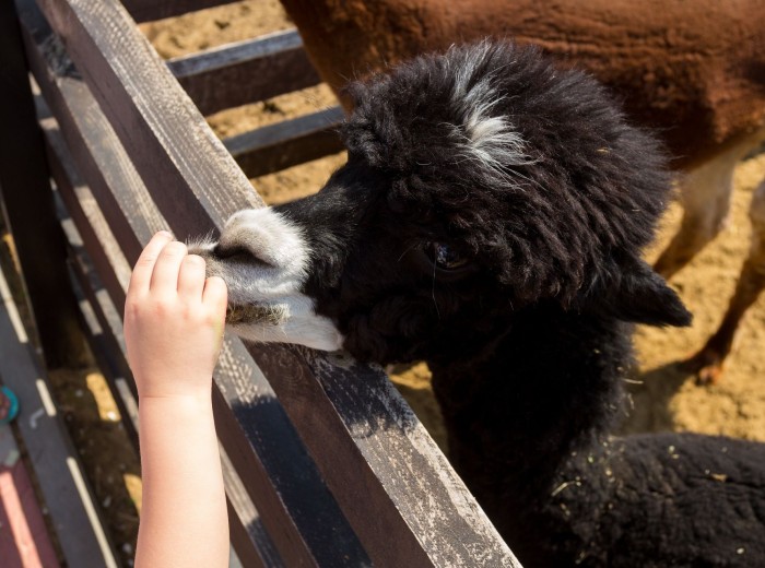 Услуги и цены